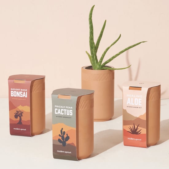 Mitre Stripe Outdoor Rug Best Outdoor Rugs From Target POPSUGAR