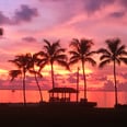 TripAdvisor Just Named Key Largo the Top Trending Destination in the US — Here's Why You Should Go