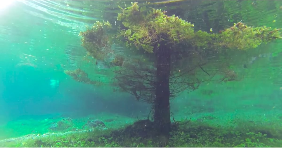 Underwater Park In Austria Popsugar Smart Living
