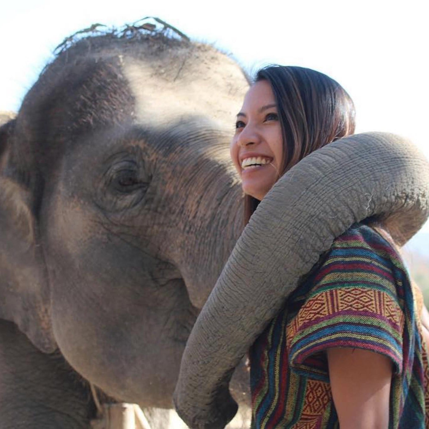 Elephant Sanctuary in Thailand | POPSUGAR Smart Living