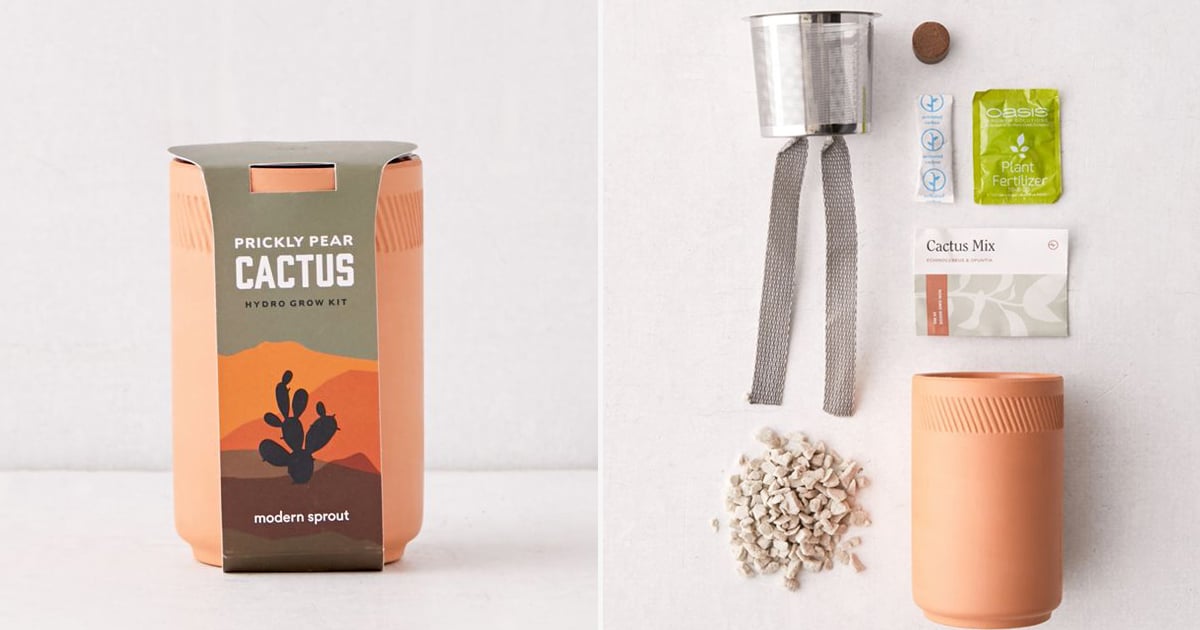 Modern Sprout Terracotta Kit - Cactus Blend