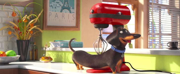 The Secret Life of Pets Official Trailer