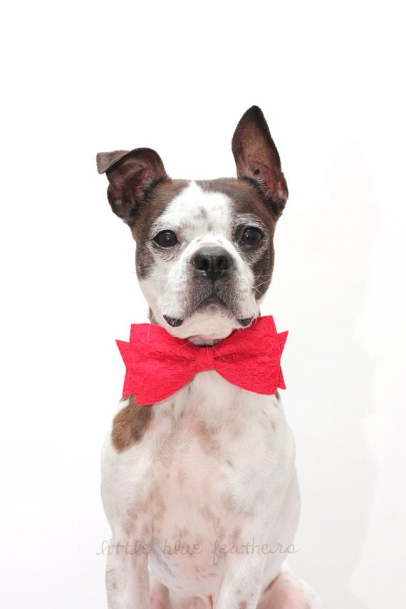 Valentine's Day bow tie
