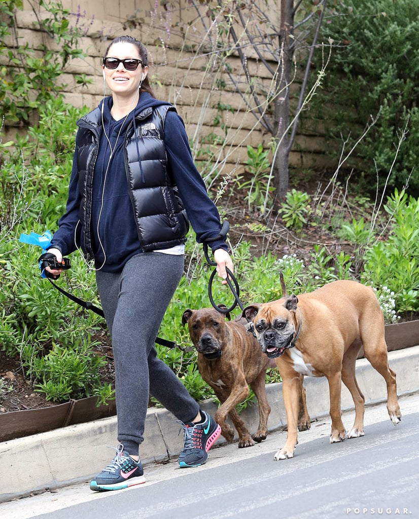 Jessica Biel's Baby Bump With Her Dogs | Photos