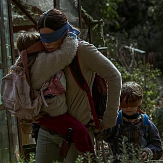 sequel to bird box book sequel to bird box book
