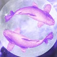 Pisces Season Wants You to Prioritize Your Inner Healing