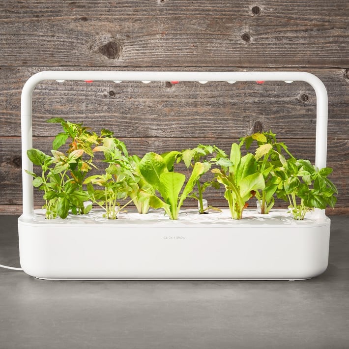 Click & Grow Smart Garden 9 Self Watering Indoor Garden