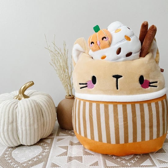 pumpkin spice cat squishmallow