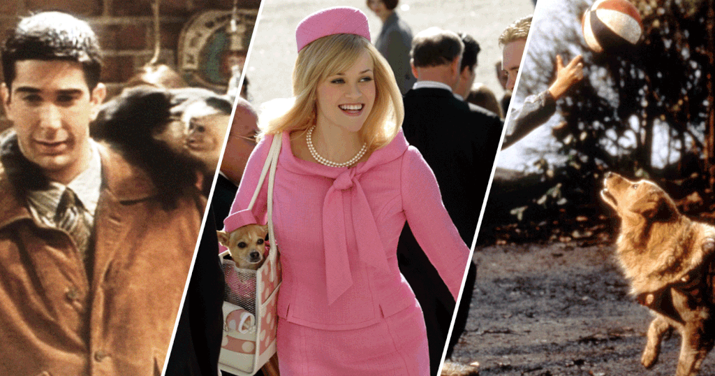 13 Fun Facts About Your Favourite Movie and TV Animals