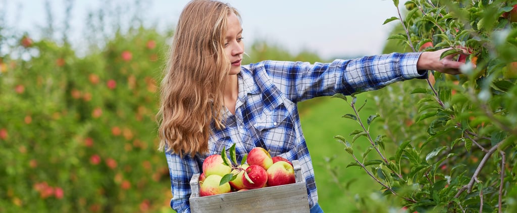 The Best Apple-Picking Instagram Captions For 2021