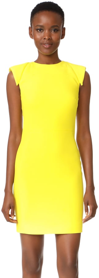 Antonio Berardi Sleeveless Dress