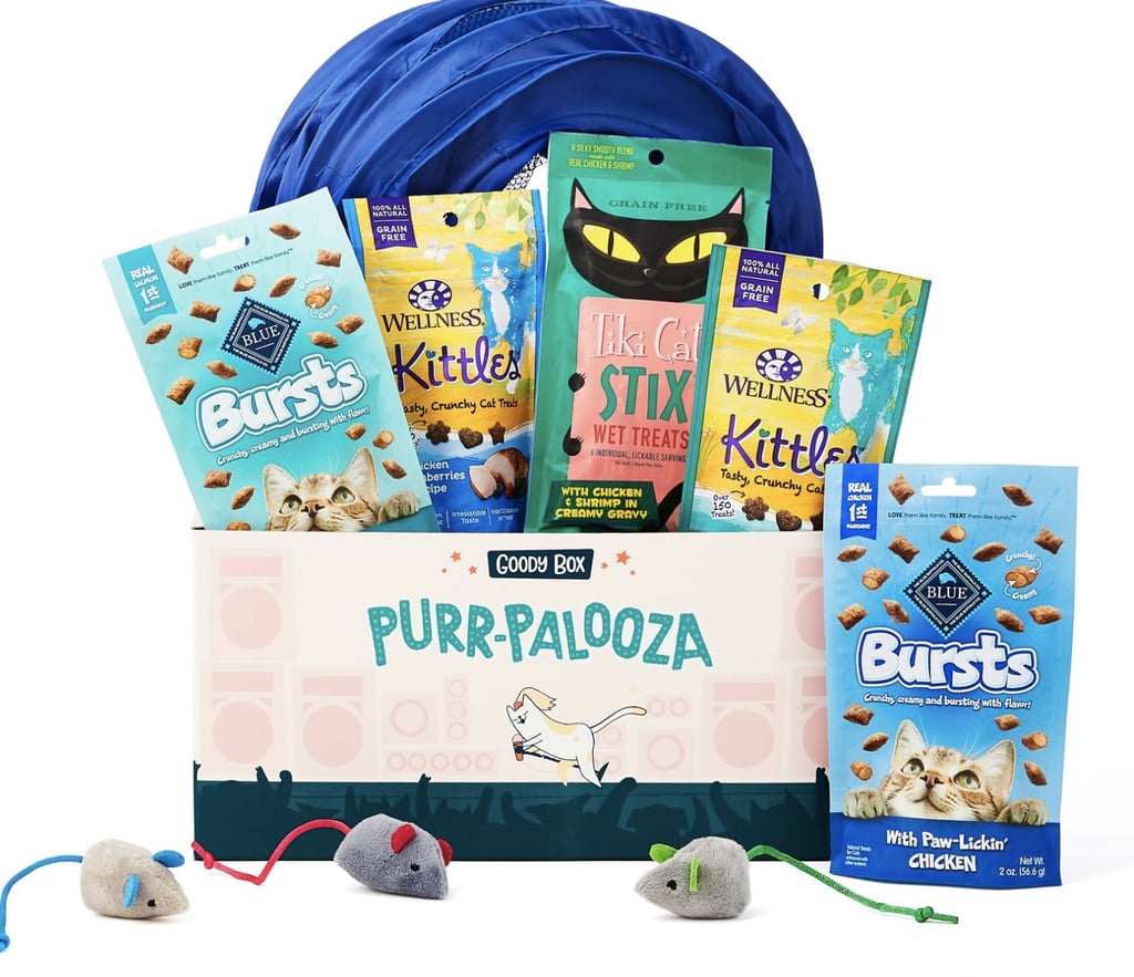 Cat Goody Box The Best Gifts to Send Someone Other Than Flowers