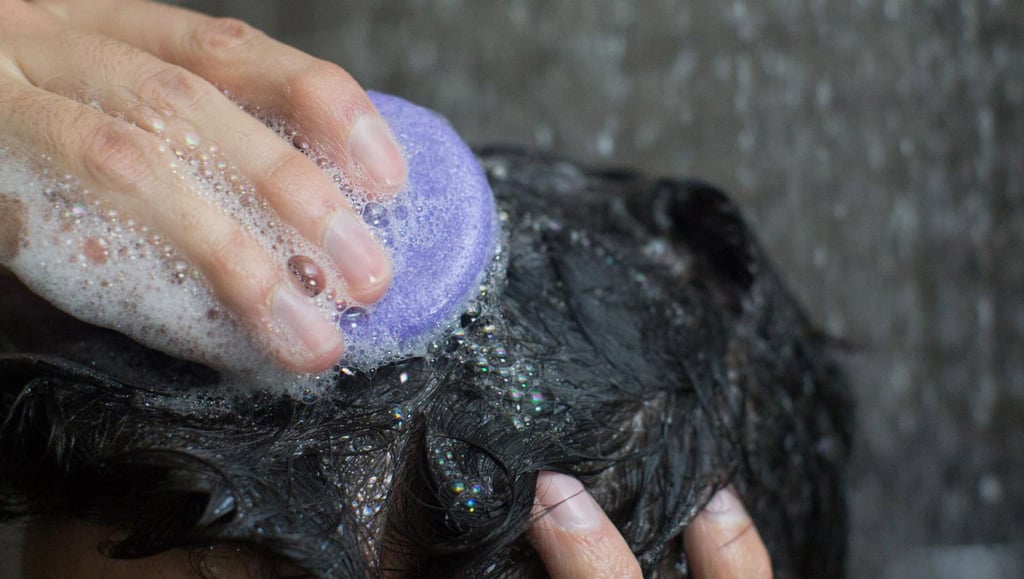 Lush Shampoo Bar Review POPSUGAR Beauty