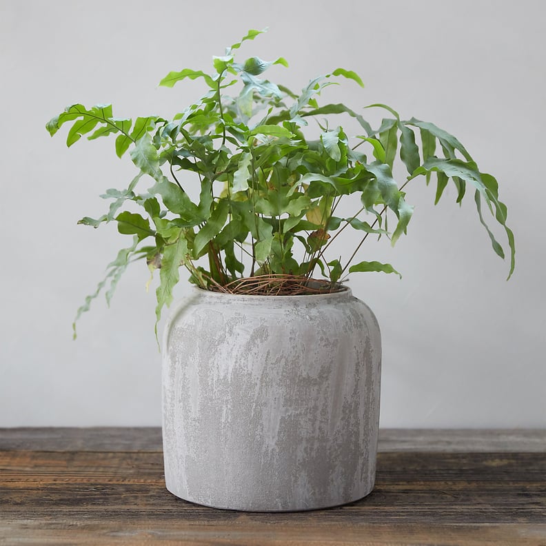 Sanded Terracotta Jar