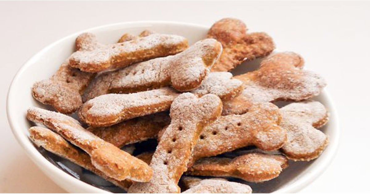 Pumpkin Recipes For Dogs | POPSUGAR Pets