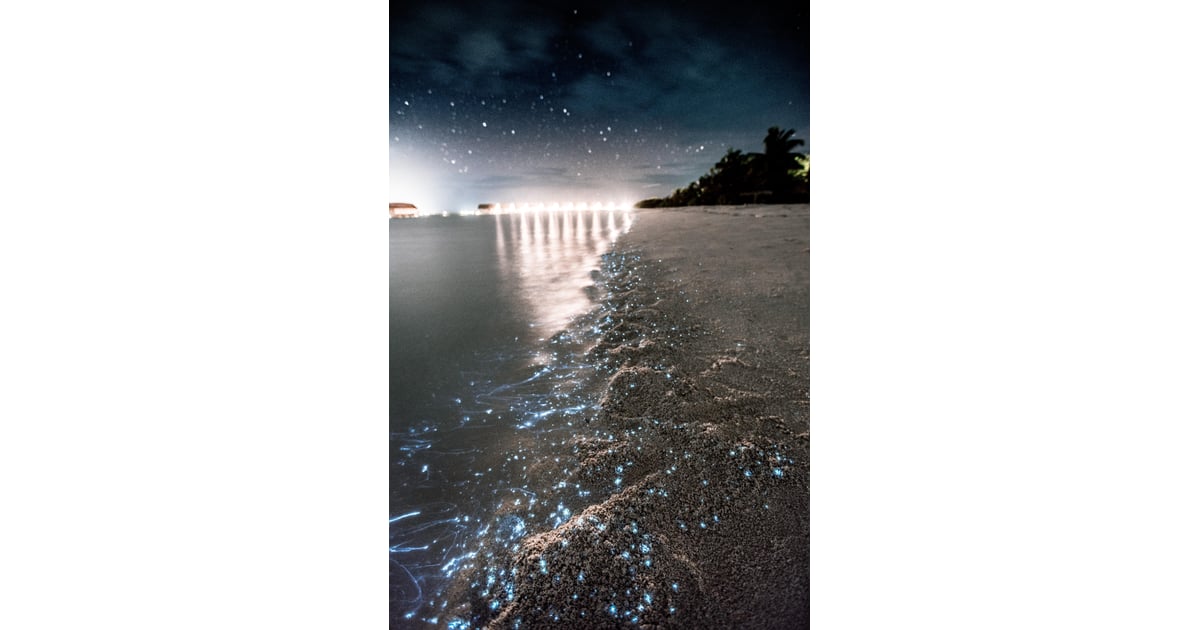 sea of stars maldives location