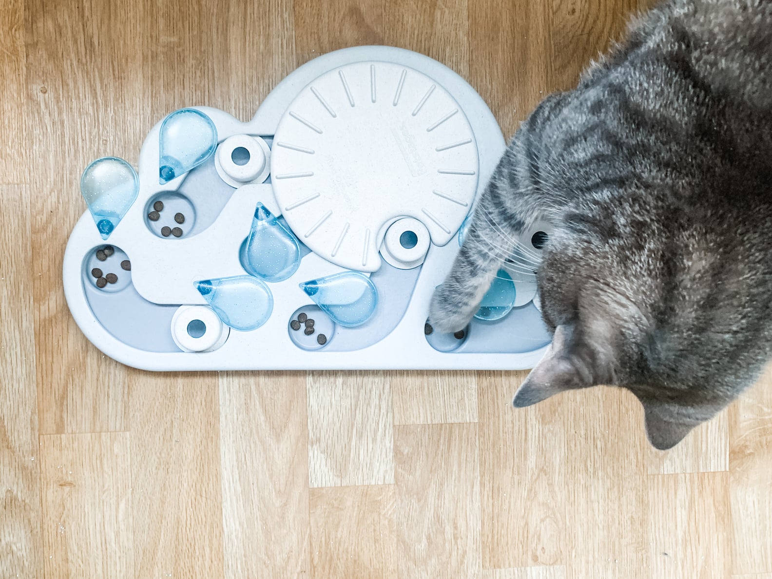 Cat SlowFeeder Puzzle Review PetStages Rainy Day POPSUGAR Pets