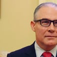 New Head of the EPA Does "Not Agree" Humans Have Led to Climate Change