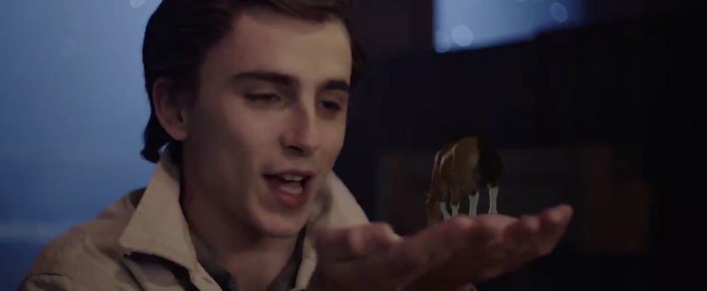 SNL: Watch Timothée Chalamet Sing to a Tiny Horse | Video