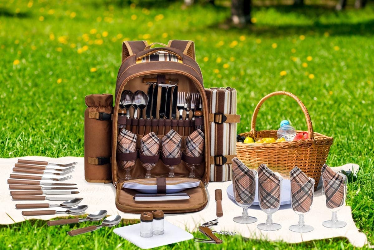 apollo walker Picnic Backpack Bag 12 Unique and Thoughtful