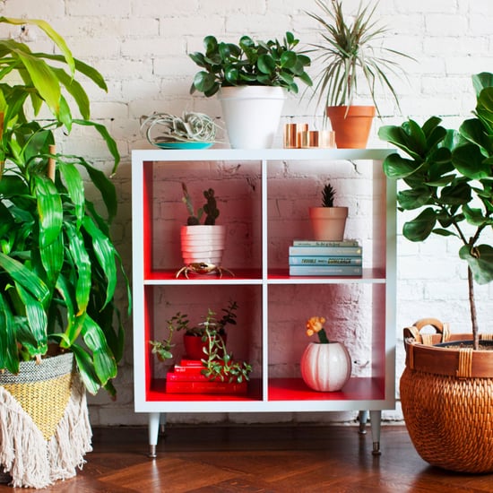 DIY Painted Bookshelf