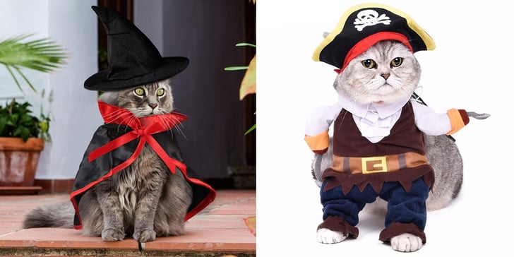 Best Costumes For Cats | POPSUGAR UK Pets