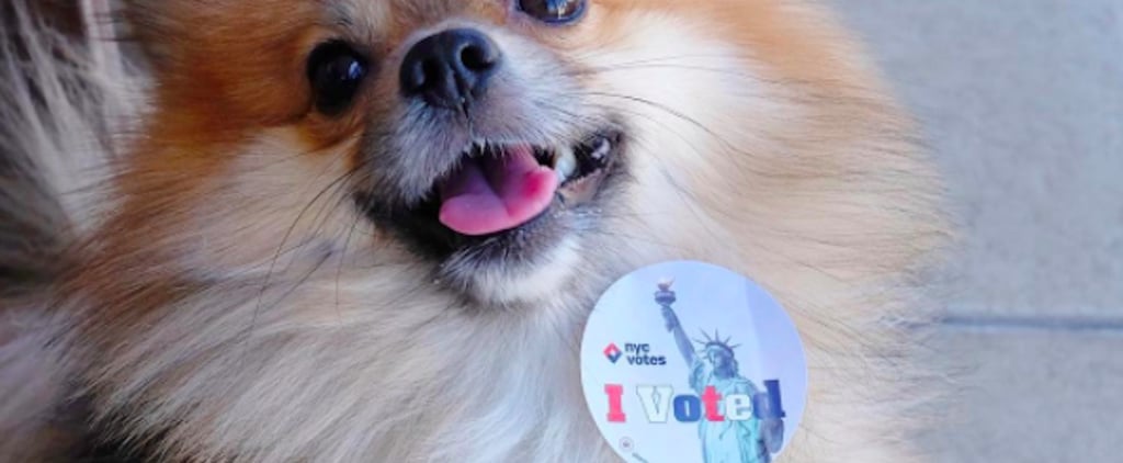 I'm Woof Her | Dogs Supporting Hillary Clinton