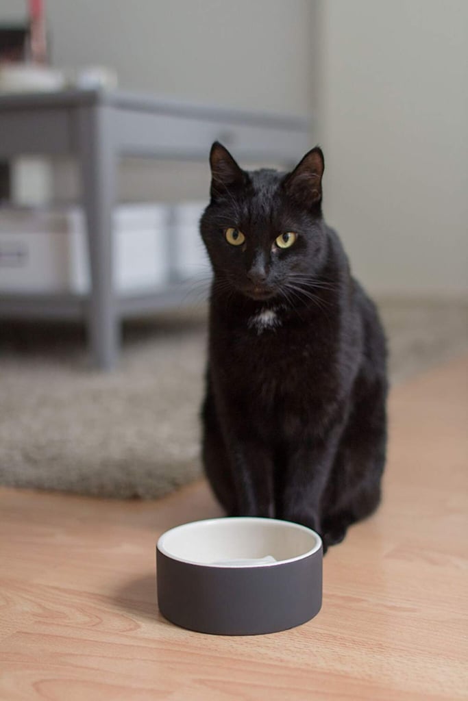 ceramic cat bowls australia