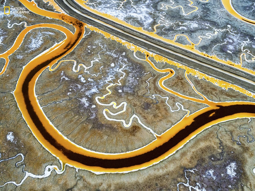 Environmental Issues, Second Place — Outside Facebook HQ