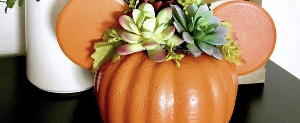 Mickey Mouse Pumpkin Succulent Planter DIY