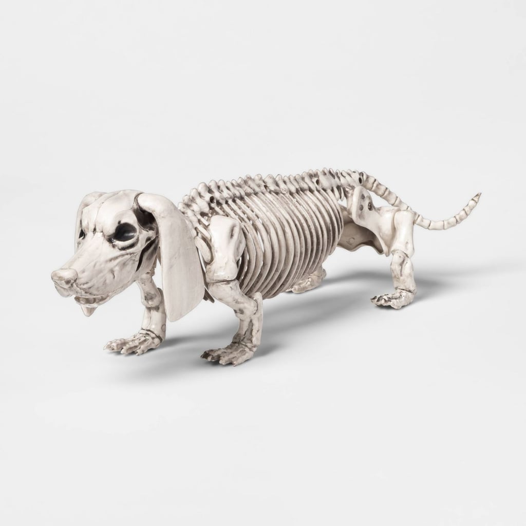 Dachshund Skeleton Decorative Halloween Prop at Target