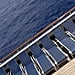 What It's Like on a Swingers Cruise: My Review