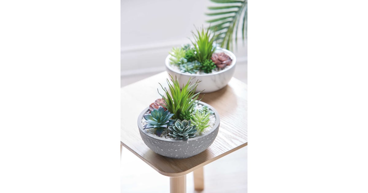 Aldi Artificial Plant in Marble Style Pot | Aldi’s Best Cheap Homewares ...