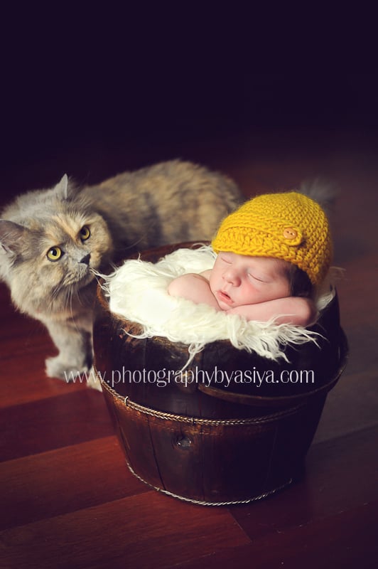 Adorable Newborn and Pet Photos