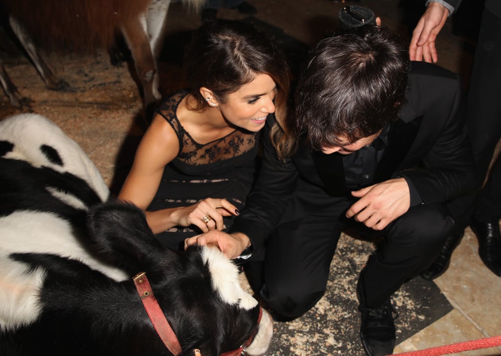 They crouched down together to pet a calf during a Heifer International event in August 2014.