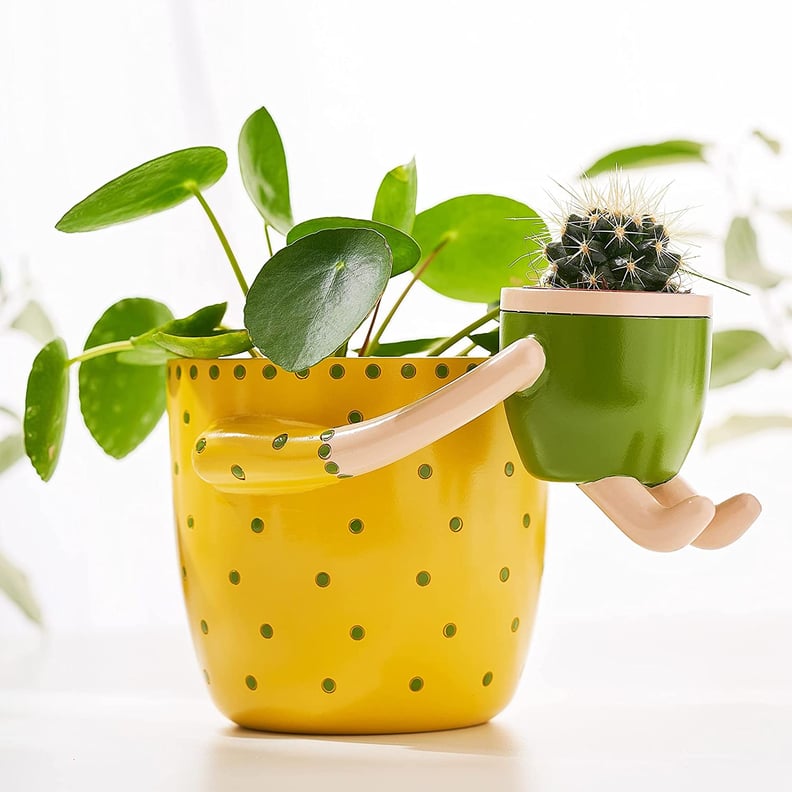 A Two-in-One Indoor Planter