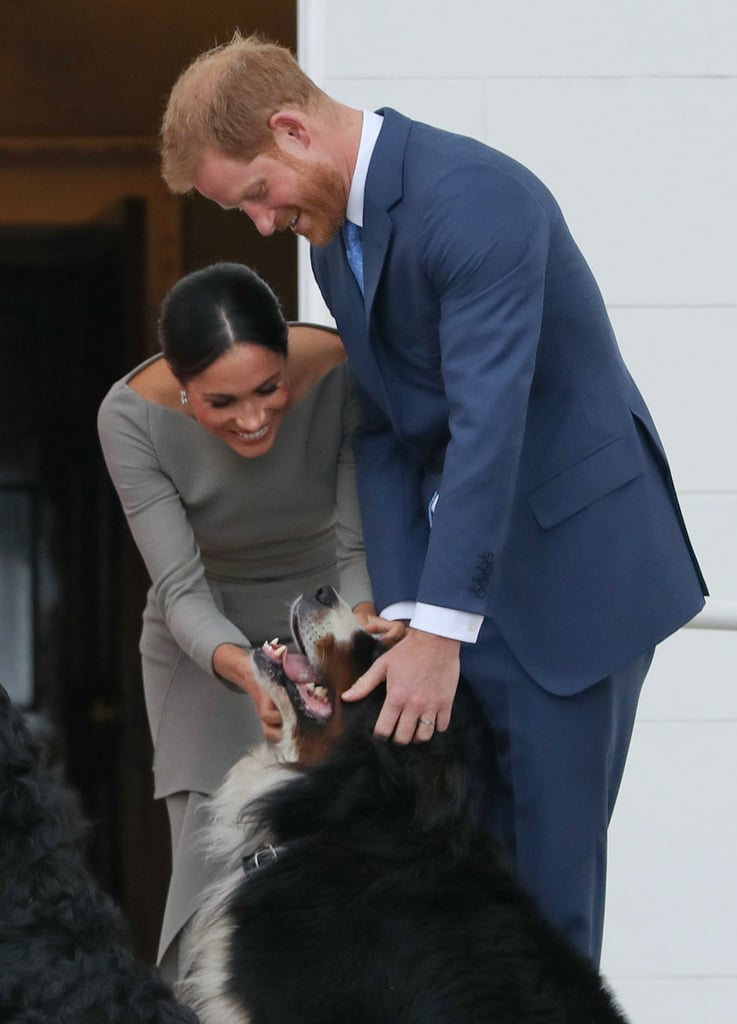 Meghan Markle With Animals Pictures