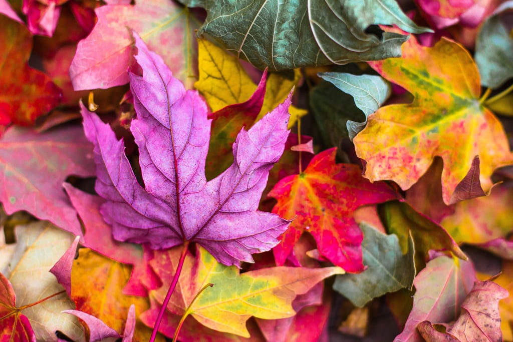 20 Beautiful and Cozy Fall Computer Backgrounds