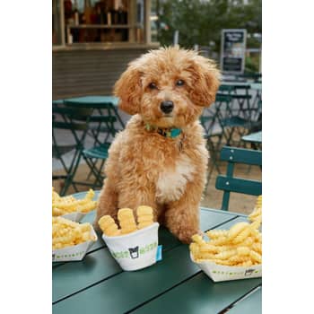 Shake shack shop dog toys