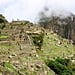 Machu Picchu Tips
