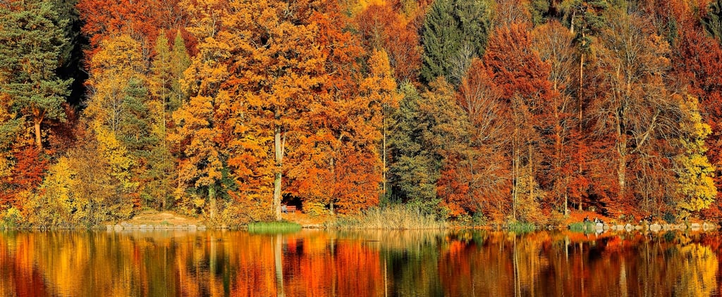 30 Stunning Pictures of Fall That Will Make You Wish It Lasted 365 Days