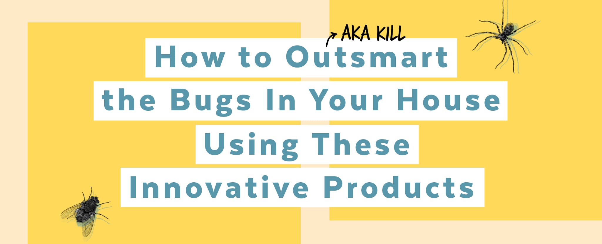 How to Kill Bugs With Zevo Products POPSUGAR Smart Living