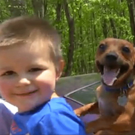 Dog Stays With Boy Lost in the Woods