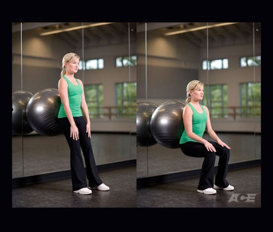 Stability Ball Wall Sits