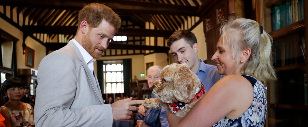 Prince Harry Couldn't Resist Petting a Dog During His Latest Outing, and OMG, My Heart