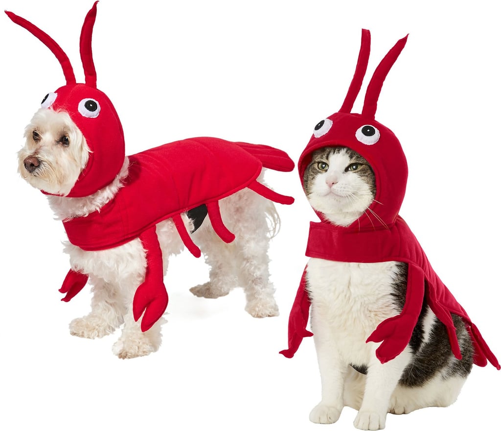 Frisco Red Lobster Dog & Cat Costume