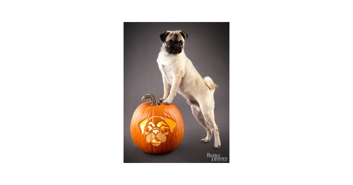 Pug Downloadable Dog Breed Pumpkin Stencils POPSUGAR Pets Photo 34