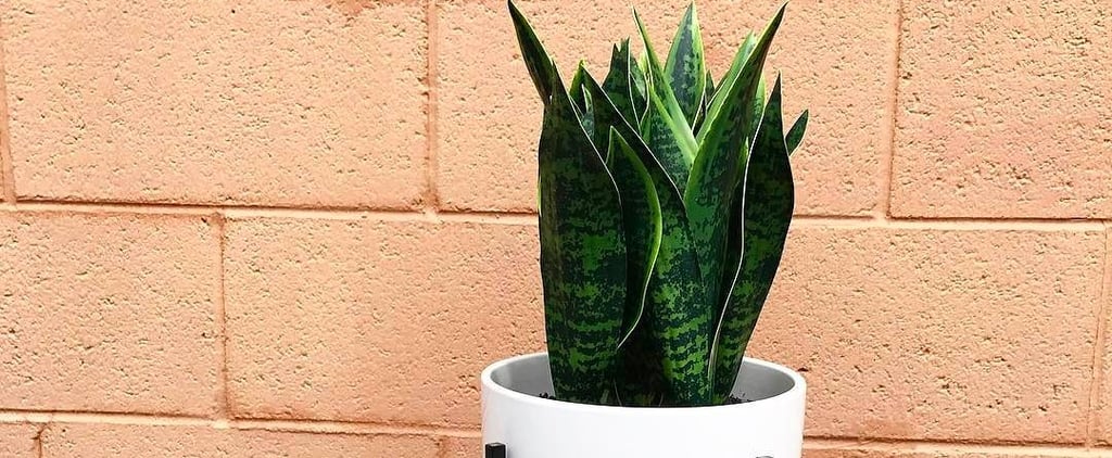 These Stylish Target Home Decor Items Are All Under $100