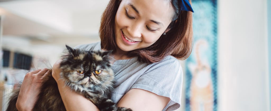 Which Cat Breed Are You By Zodiac Sign