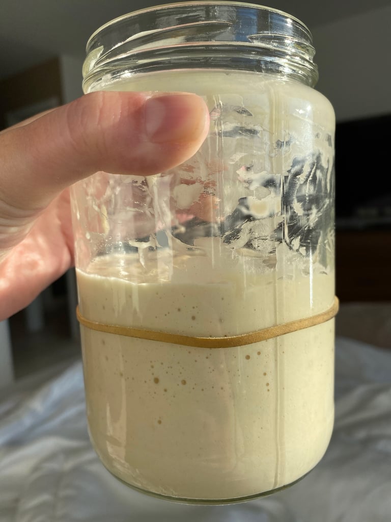 Sourdough Starter Day 10